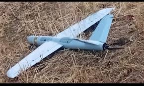 Pakistan Rangers shoot down another Indian drone